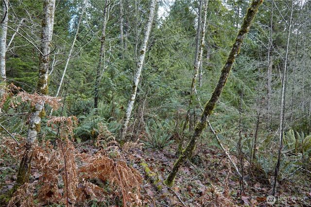 63 XX NW Anderson Hill Road, Silverdale, WA 98383