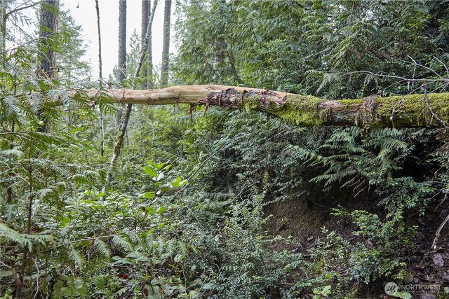 63 XX NW Anderson Hill Road, Silverdale, WA 98383