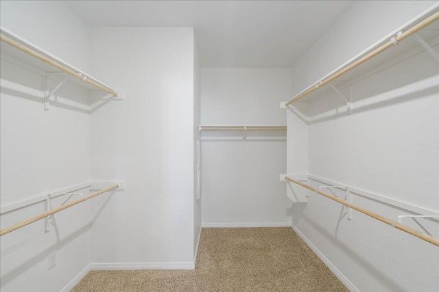 2513 Caleb Asher LOOP, Round Rock, TX 78665