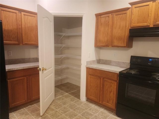 1043 ANDREW AVILES CIRCLE, Tampa, FL 33619