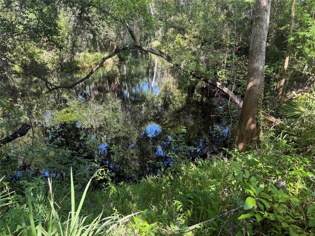 3621 ELFERS PARKWAY, New Port Richey, FL 34655