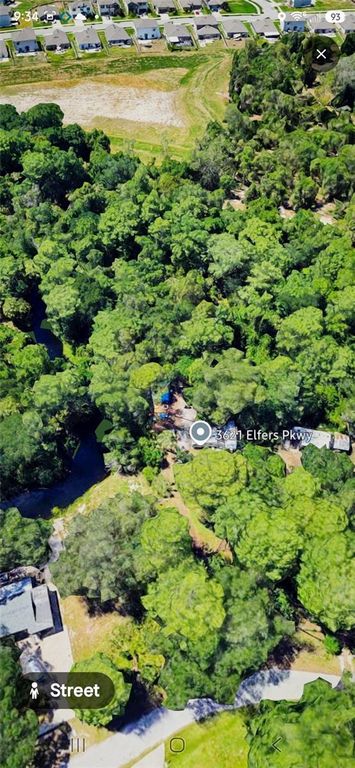 3621 ELFERS PARKWAY, New Port Richey, FL 34655