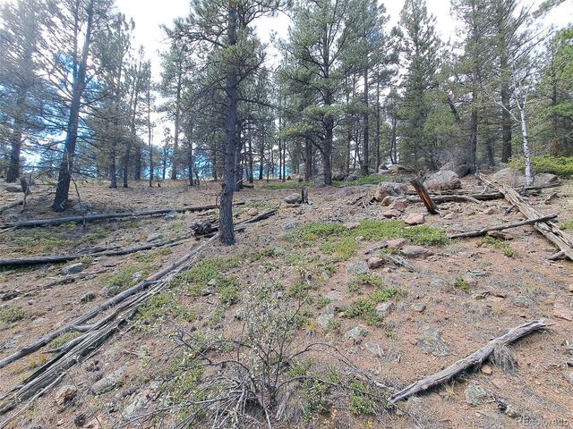 1077 Roland Drive, Bailey, CO 80421