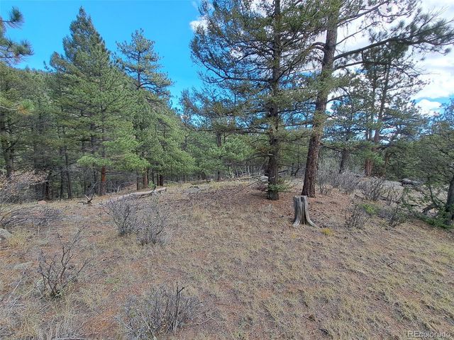 1077 Roland Drive, Bailey, CO 80421