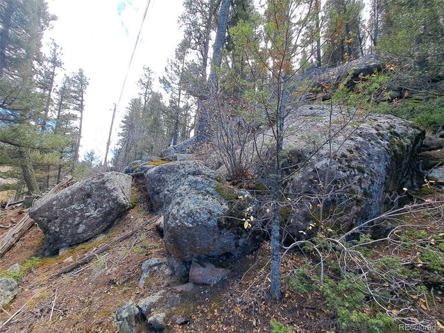 1077 Roland Drive, Bailey, CO 80421