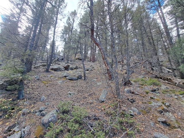 1077 Roland Drive, Bailey, CO 80421