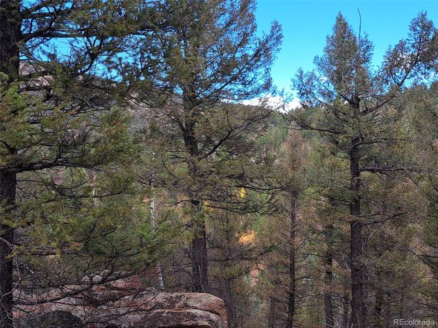 1077 Roland Drive, Bailey, CO 80421