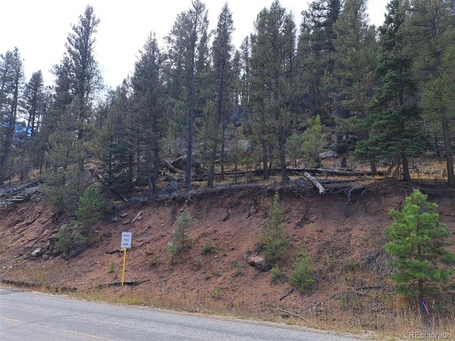 1077 Roland Drive, Bailey, CO 80421