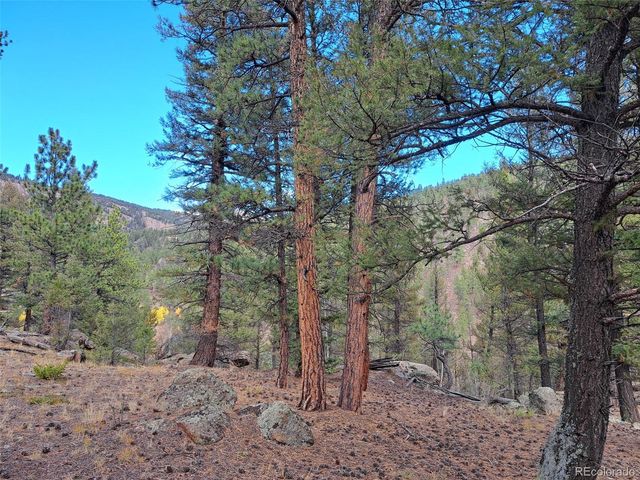 1077 Roland Drive, Bailey, CO 80421