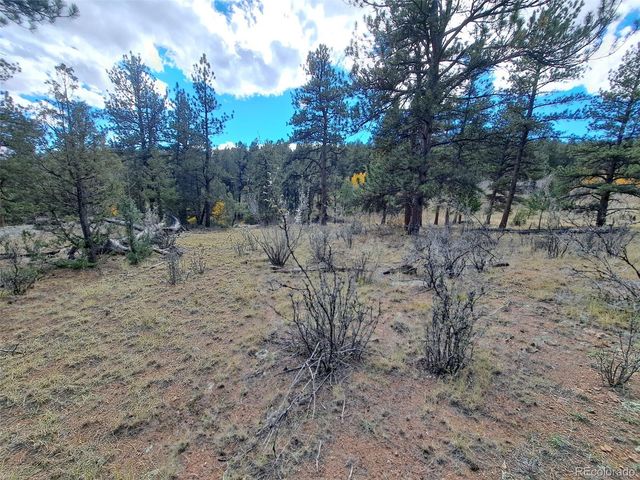 1077 Roland Drive, Bailey, CO 80421