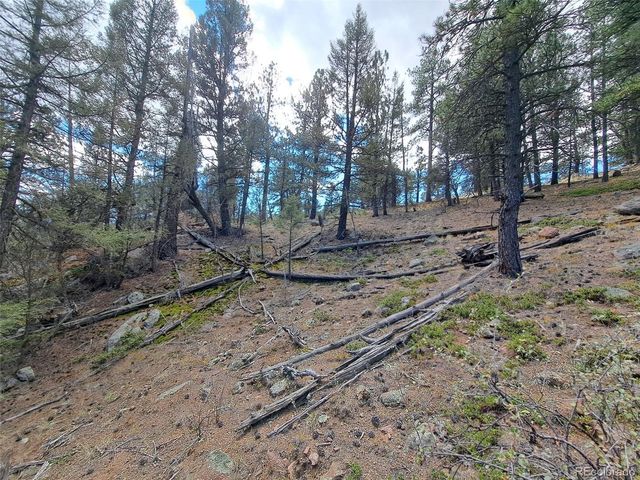 1077 Roland Drive, Bailey, CO 80421