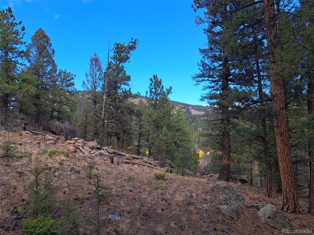 1077 Roland Drive, Bailey, CO 80421