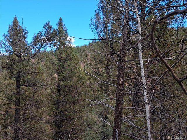 1077 Roland Drive, Bailey, CO 80421