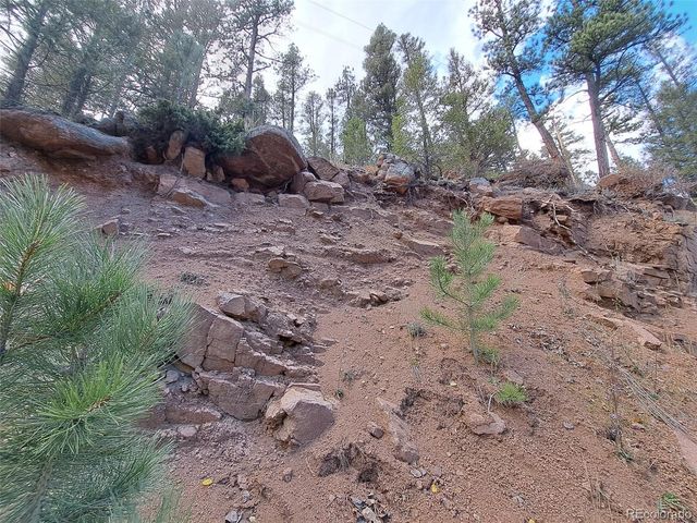 1077 Roland Drive, Bailey, CO 80421