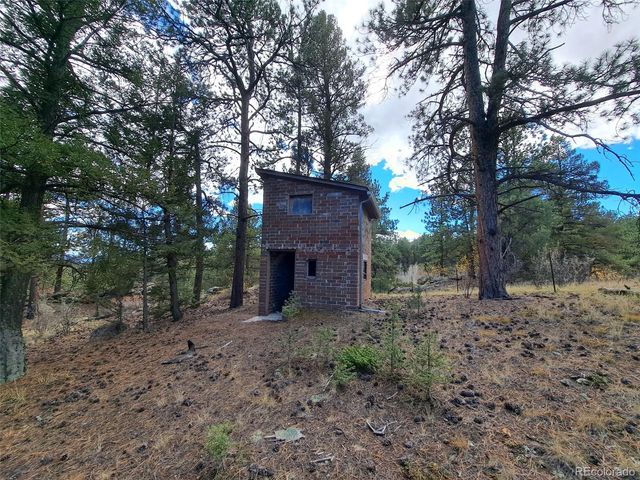 1077 Roland Drive, Bailey, CO 80421