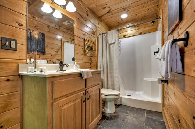 536 Lakeview Road, Blue Ridge, GA 30513
