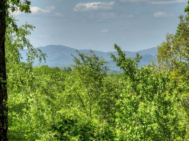 536 Lakeview Road, Blue Ridge, GA 30513