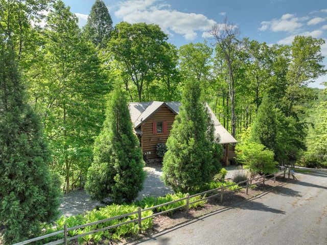 536 Lakeview Road, Blue Ridge, GA 30513