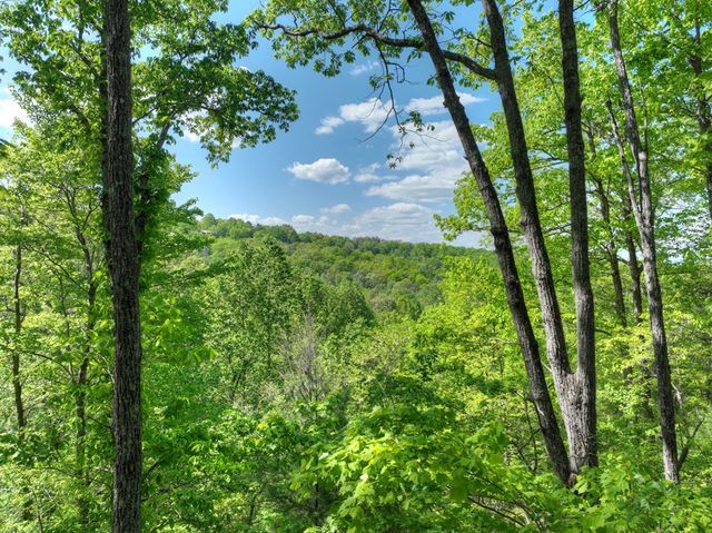 536 Lakeview Road, Blue Ridge, GA 30513
