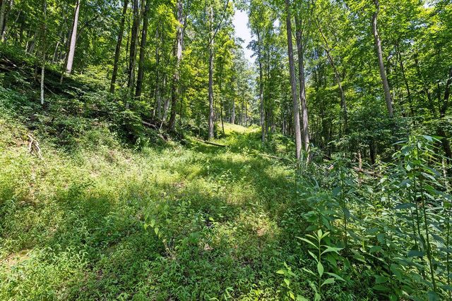 24272 Conrad Road, Laurelville, OH 43135