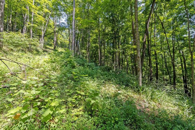 24272 Conrad Road, Laurelville, OH 43135