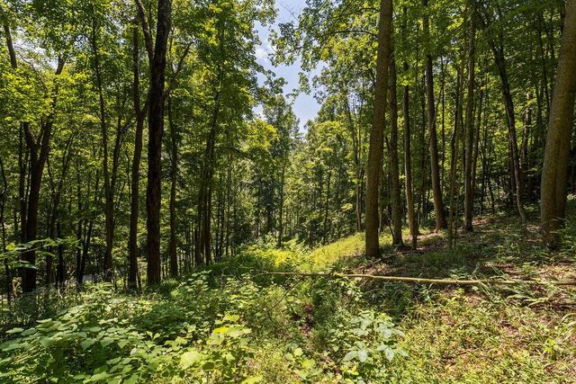 24272 Conrad Road, Laurelville, OH 43135