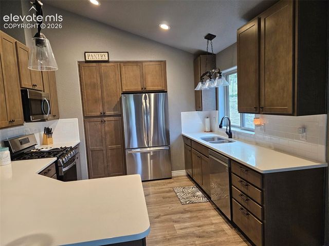 24 Big Horn Circle, Florissant, CO 80816