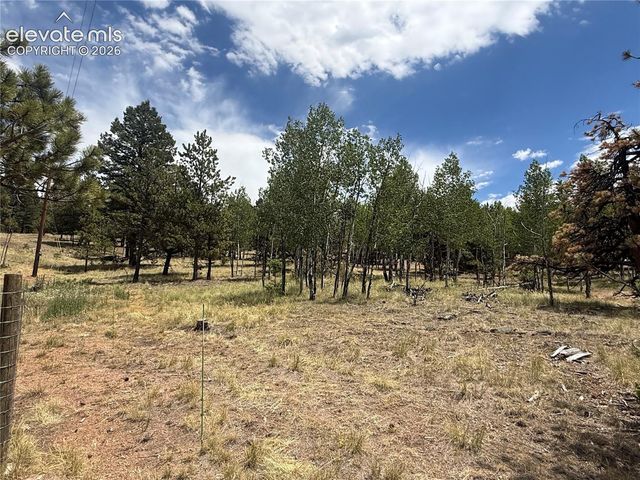 24 Big Horn Circle, Florissant, CO 80816