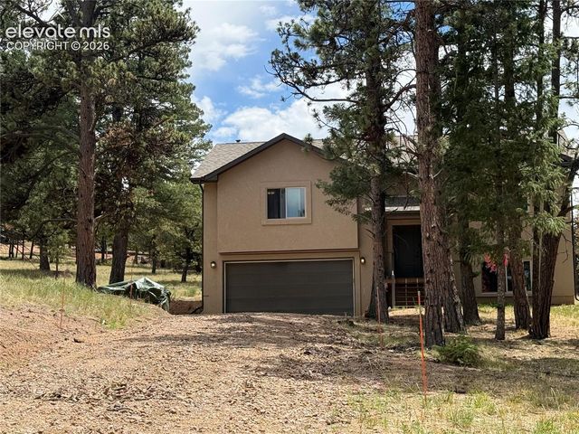 24 Big Horn Circle, Florissant, CO 80816