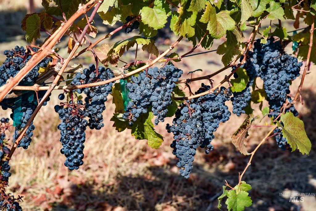 73809 Rattlesnake Road, Arlington, OR 97812 photo 13