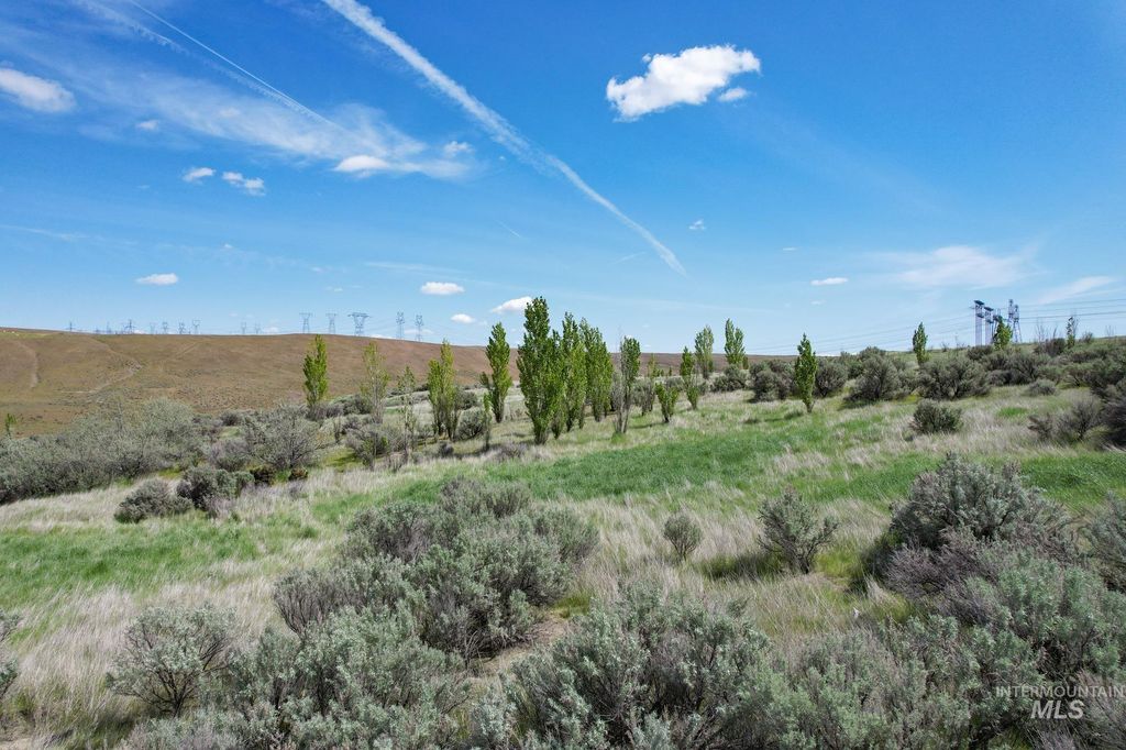 73809 Rattlesnake Road, Arlington, OR 97812 photo 16