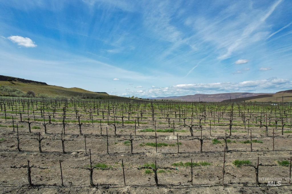 73809 Rattlesnake Road, Arlington, OR 97812 photo 23