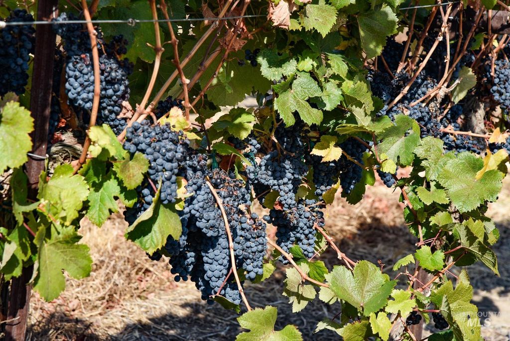 73809 Rattlesnake Road, Arlington, OR 97812 photo 27