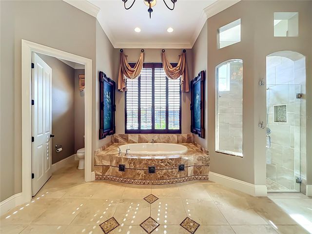 16028 PENDIO DRIVE, Montverde, FL 34756