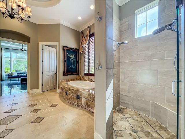 16028 PENDIO DRIVE, Montverde, FL 34756