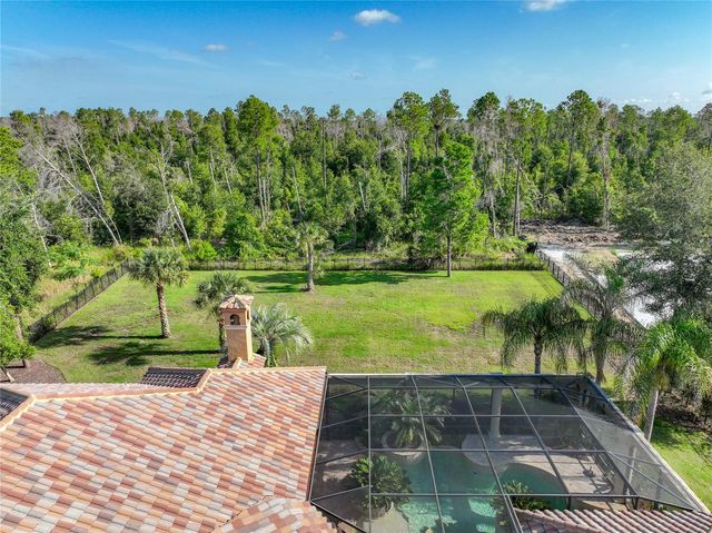 16028 PENDIO DRIVE, Montverde, FL 34756