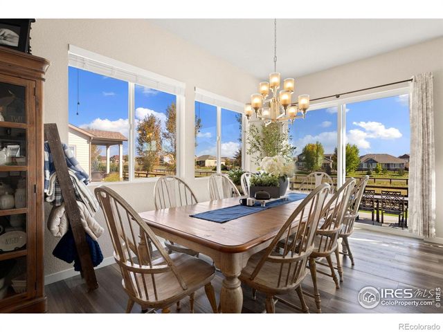 923 Pitch Fork Drive, Windsor, CO 80550