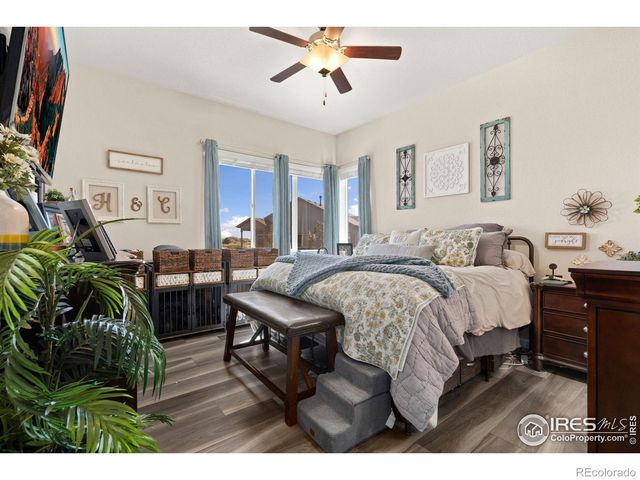 923 Pitch Fork Drive, Windsor, CO 80550