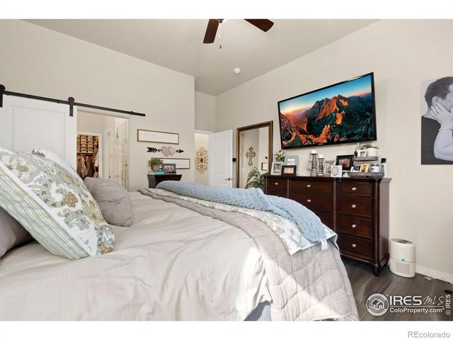 923 Pitch Fork Drive, Windsor, CO 80550