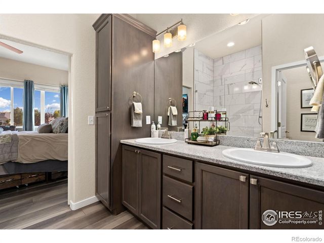 923 Pitch Fork Drive, Windsor, CO 80550