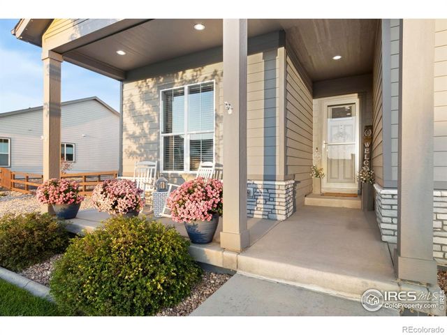 923 Pitch Fork Drive, Windsor, CO 80550