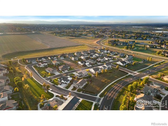 923 Pitch Fork Drive, Windsor, CO 80550