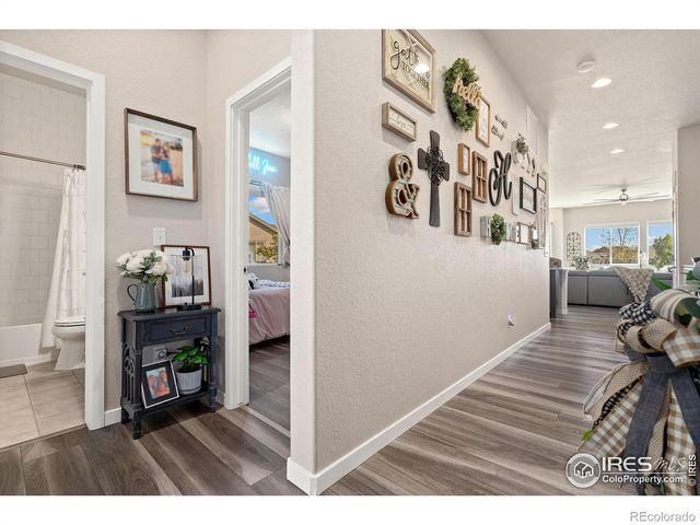 923 Pitch Fork Drive, Windsor, CO 80550