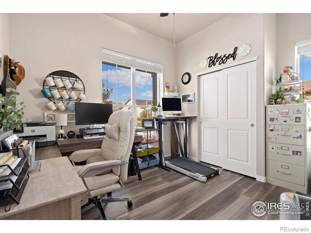 923 Pitch Fork Drive, Windsor, CO 80550