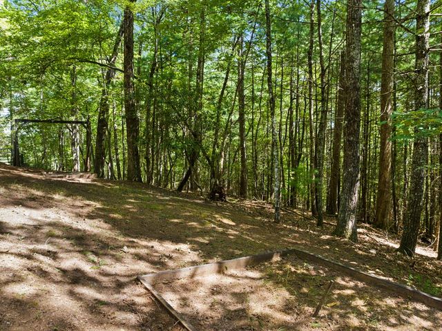 219 Ridge Top Lane, Blue Ridge, GA 30513