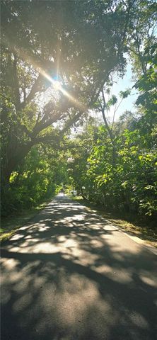 505 E GULLEY AVENUE, Winter Garden, FL 34787