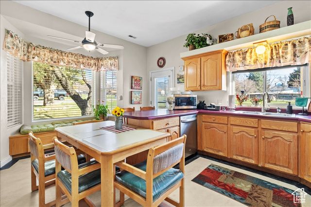 389 N 100 E, Spring City, UT 84662