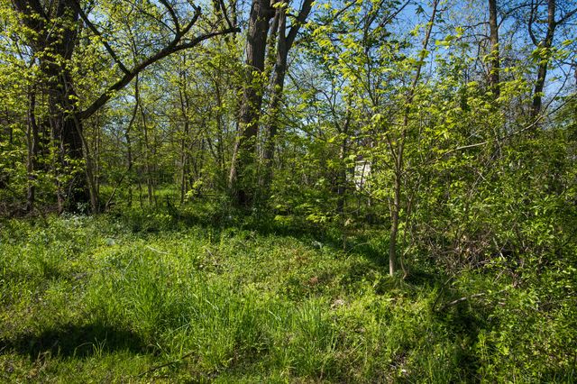 116 E Clay Street, Kalamazoo, MI 49007