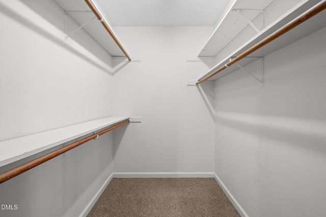 10 Forest Oaks Drive, Durham, NC 27705