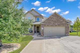 14232 Brushwood Drive, Willis, TX 77318